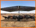 COW SHADE related image