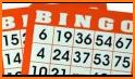 Bingo HD - Free Bingo Game related image