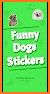 Animated Animals Stickers WAStickerApps related image