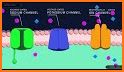 Action Potentials related image