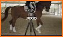 PIXIO® related image