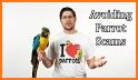 Parrot talkvpn related image