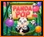 Panda! Pop! related image