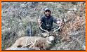 Extreme Deer Hunting 2019 related image