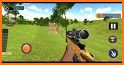 Wild Animal Safari Hunting 3D:Sniper Shooting Game related image