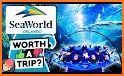 VR Guide: SeaWorld Orlando related image