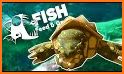 Feed Derpiest fish grow simulator related image