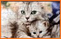 Cat Picture Making Puzzle related image