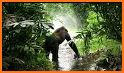 Jungle - Animal Sounds related image