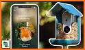 Bird Buddy: Smart Bird Feeder related image