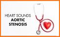 Auscultation - Heart, Lung Sounds, Cardiac Murmurs related image