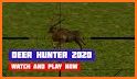 Deer Hunting 2020 : Offline Hunting Games 2020 related image