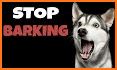 Stop Dog Barking Sounds: Anti Dog Bark Whistle related image