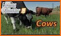 Cow Simulator related image