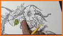 Coloring Flowers Book Pro related image