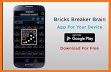 Bricks Breaker Fun related image