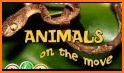 Animals on the Move related image