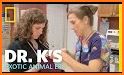 Wild Animal Dentist - Vet Hospital related image