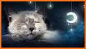 Sleeping Cute Kitten Keyboard Background related image