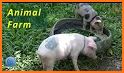 Kids Animal Farm : Village Life Fun related image