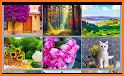 Jigsaw Puzzles: Collect Puzzle related image