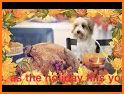 Happy Thanksgiving 2020 Greeting Cards related image