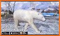 Polar Bear Simulator 2 related image