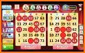 Bingo Champion : Free Offline Bingo Game related image