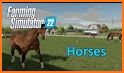 Farm Animals Horse Simulator related image