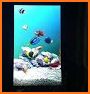 Marine Aquarium 3.3 related image