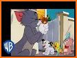 Tom And Jerry Videos for watch cartoon related image