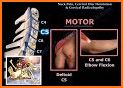 Referred Pain Index related image