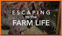 Big Farm Life related image