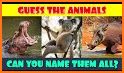 Animal Quiz: Guess the Animal related image