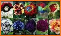 Beautiful flowers and roses Images Gif related image