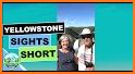 WildlifeDrives-YellowstoneGTNP related image