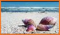 SeaShell Music Player related image