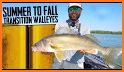 Walleye Now related image