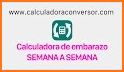 Conversor de Semanas a Meses de Embarazo related image