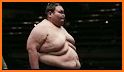 Sumotori Sports - 2017 Funny Sumo Games related image