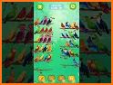 Color Bird Sort Puzzle Games related image