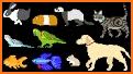 Animal Pets Fly Dogs cats Kids related image