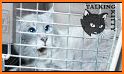 Talking Cat Run - Talking Kitty Kitten related image