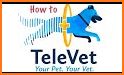 TeleVet Care for Pet Parents related image