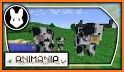 Animania Mod for Minecraft related image