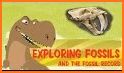 Dinosaur Fossils For Kids related image