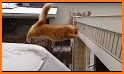 CatsJump! related image