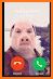 Fake call with Piggy Granny - PeppePig call related image