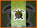 Turtle vs Portal related image