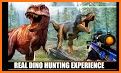 Wild Animal Hunter 2021: Dino Hunting Games related image